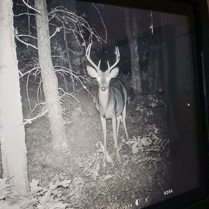 Meet your Posher, Rick